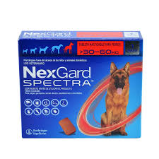 NEXGARD SPECTRA 30-60 KG